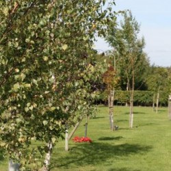 Burgess hill Burial Ground