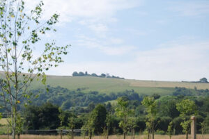 Clayton Wood Natural Burial Ground