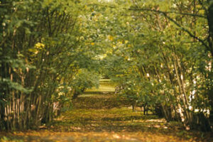 Worthing Crematorium